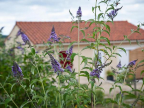 Maison tout confort au cœur du Périgord avec jardin, parking et Wi-Fi - FR-1-616-262